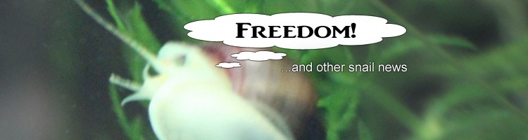 Mystery Snail Liberation Front